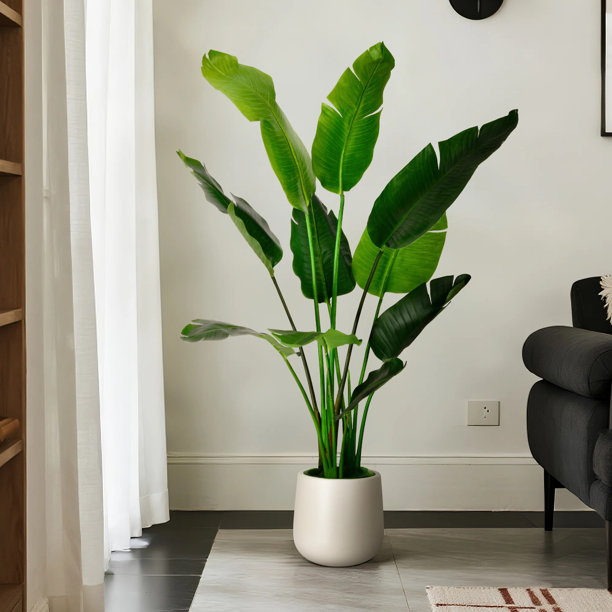 Artificial Banana Leaf Tree Bird Of Paradise in White Decor Pot | Wayfair | Wayfair North America