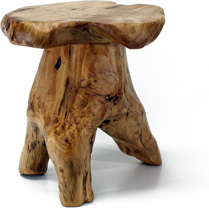 WELLAND Tree Stump Stool Live Edge, Natural Edge Side Table, Plant Stand, Nightstand, Mushroom St... | Amazon (CA)