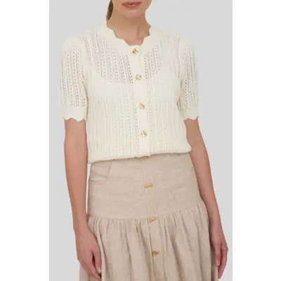 ZOE AND CLAIRE Short Sleeve Semisheer Pointelle Sweater in Cream at Nordstrom, Size Small | Nordstrom