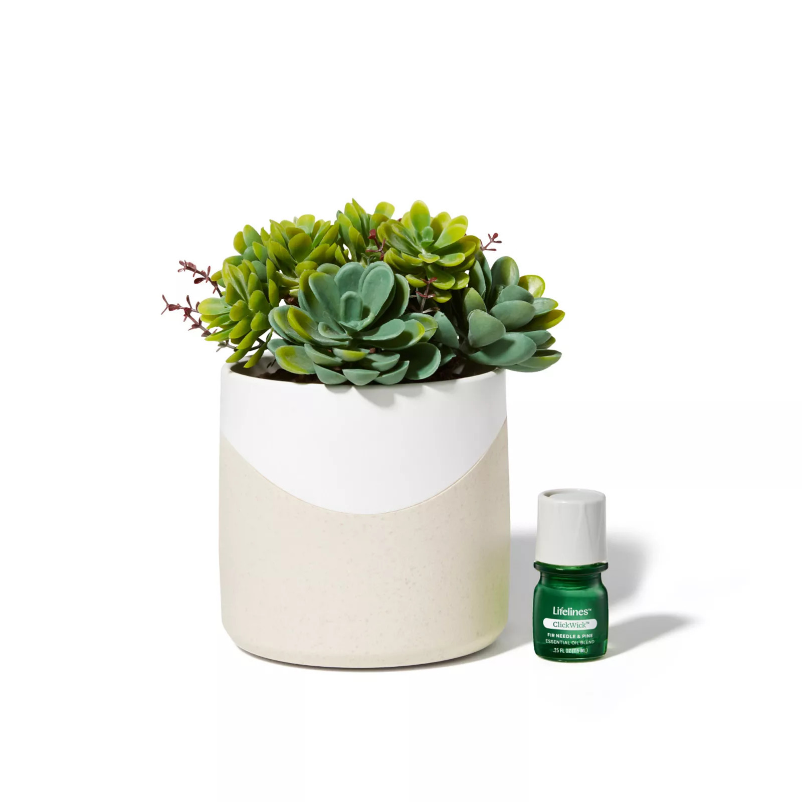 Lifelines Artificial Succulent Plant Diffuser, Multi None | Kohl's