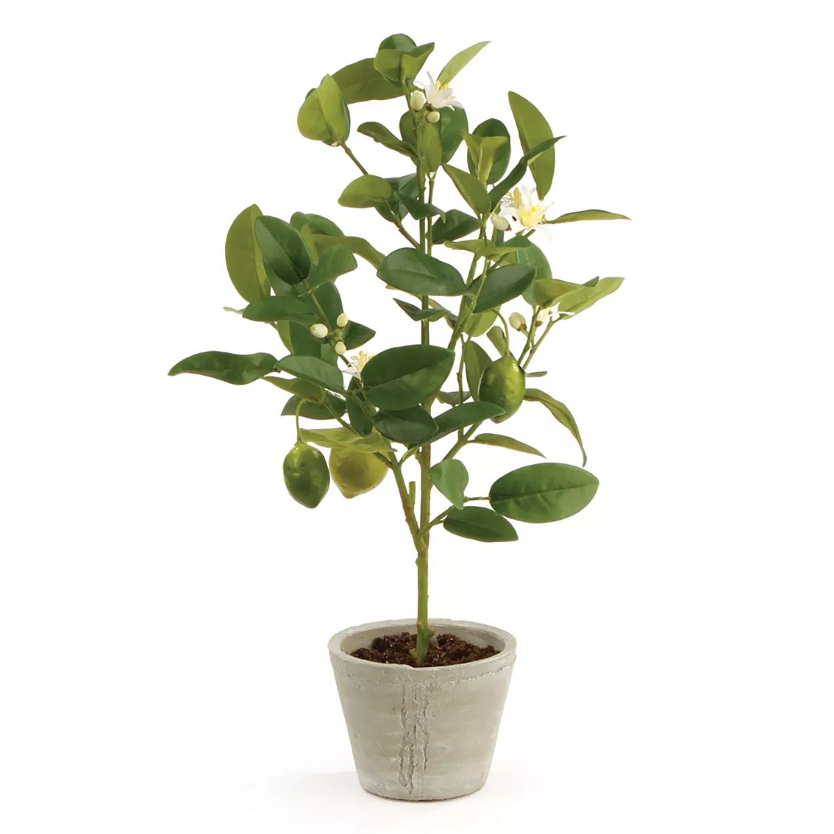 Plum & Post Lemon Topiary Faux (Fake) Potted 20" | Target