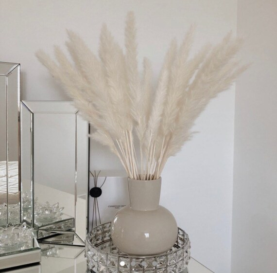 White dried Fluffy Pampas Grass Natrual Slim Stems | Etsy (US)