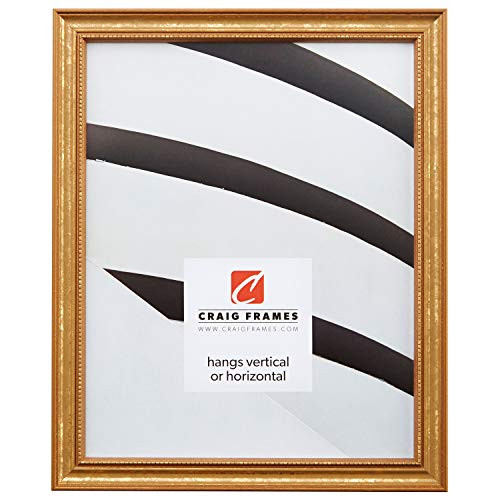 Craig Frames 314GD, Ornate Gold Picture Frame, 4 x 6 Inch | Amazon (US)