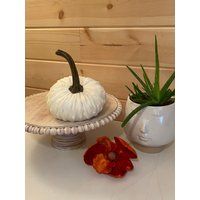 Large Nubby Mink Velvet Pumpkin {Cream}; Coastal Home Chic, Rustic Mantle Decor, Diy Centerpiece, Ho | Etsy (US)