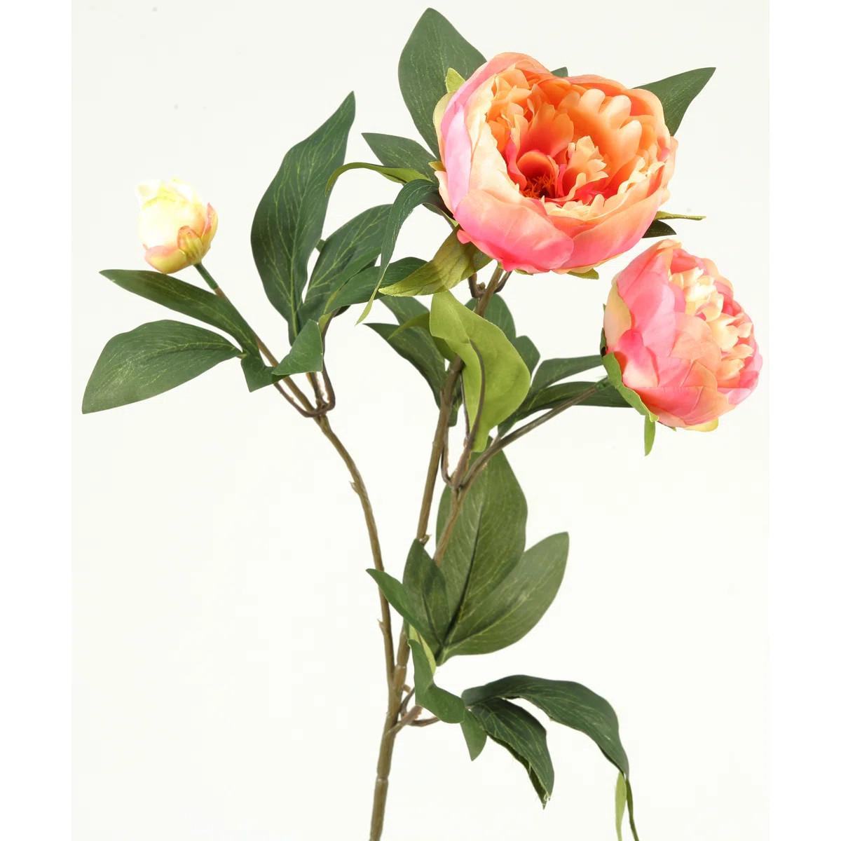 Peony Arrangement (Set of 3) | Wayfair North America