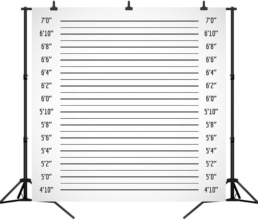 Police Lineup Photography Backdrop Black line Mugshot Decor Photo Background for Party Banner Chi... | Amazon (US)