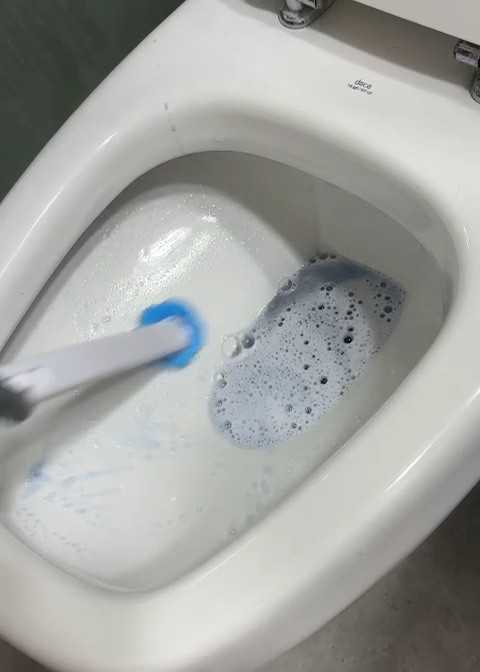 Dica de limpeza de privada MUITO ÚTIL!! (Selecionar a opção que vem a base, o “pitoco” e as esponjas, aí depois você só recompra as esponjas quando for acabando). 

#LTKhome #LTKbrasil #LTKfamily