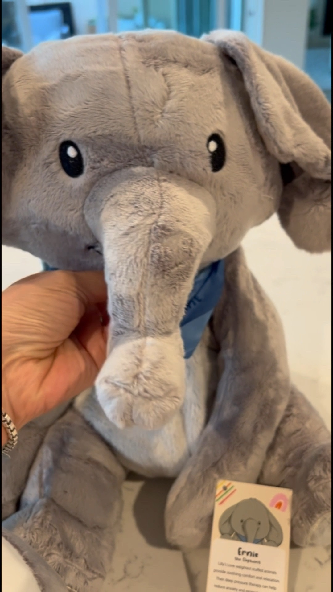 These weighted (5lbs) stuffed animals are my new FAVORITE for my clients and my children!!! Ao good for anxiety calming sensory relaxation, and play! And they are washable. They come in multiple animals including a dog, panda, hippo, dinosaur, elephant, and sloth!! 

#LTKFamily #LTKPets #LTKKids