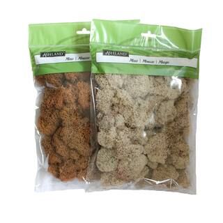Assorted Reindeer Moss by Ashland® | Michaels Stores