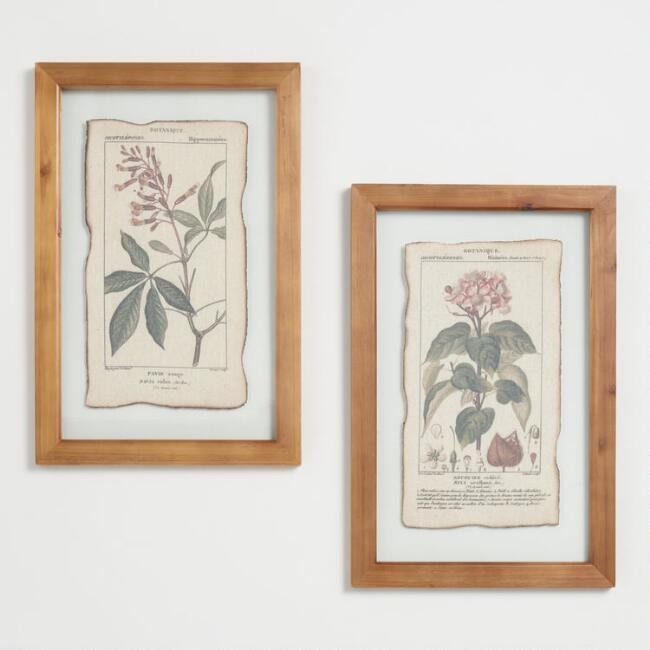 Botanical Prints Framed Linen Wall Art Set of 2 | World Market