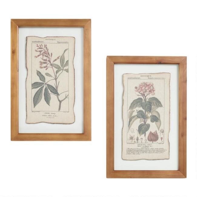 Botanical Prints Framed Linen Wall Art Set of 2 | World Market