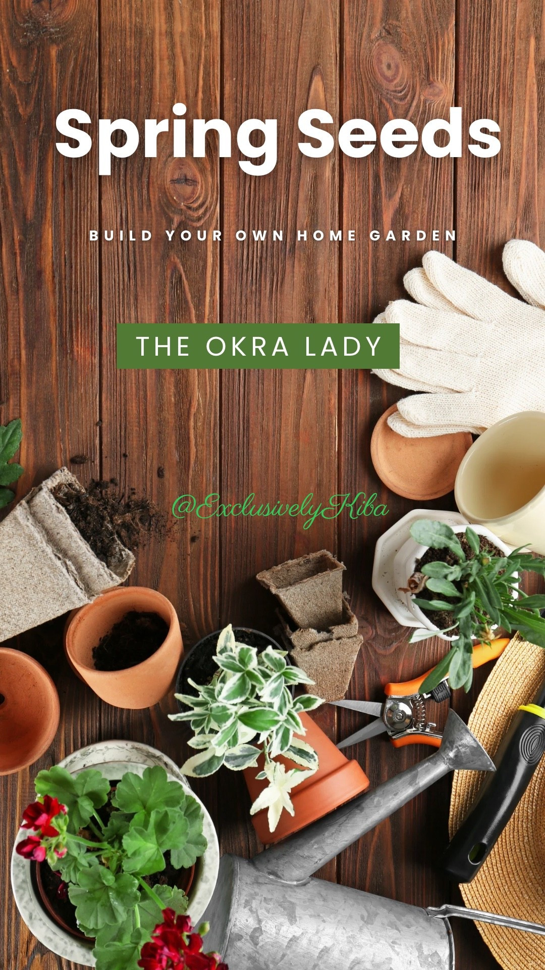 Gardeners… this seed shop has been a winner for me 🌱

I’ve purchased seeds several times from The Okra Lady on @Etsy  and they’ve always had great germination.

So when I’m looking for certain seeds for my garden, this is one of the places I check first.
Bonus: shipping is always fast.

Spring garden prep is officially underway over here. 🌿

#gardenseason #seedstarting #gardeninspo #theokralady #homegarden

#LTKfoodie #LTKHome #LTKSpringSale