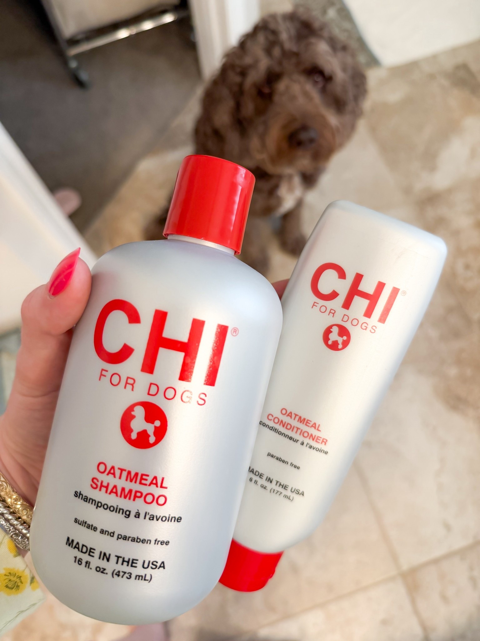 bath day for June Carter 🛁🐾

#LTKdayinmylife