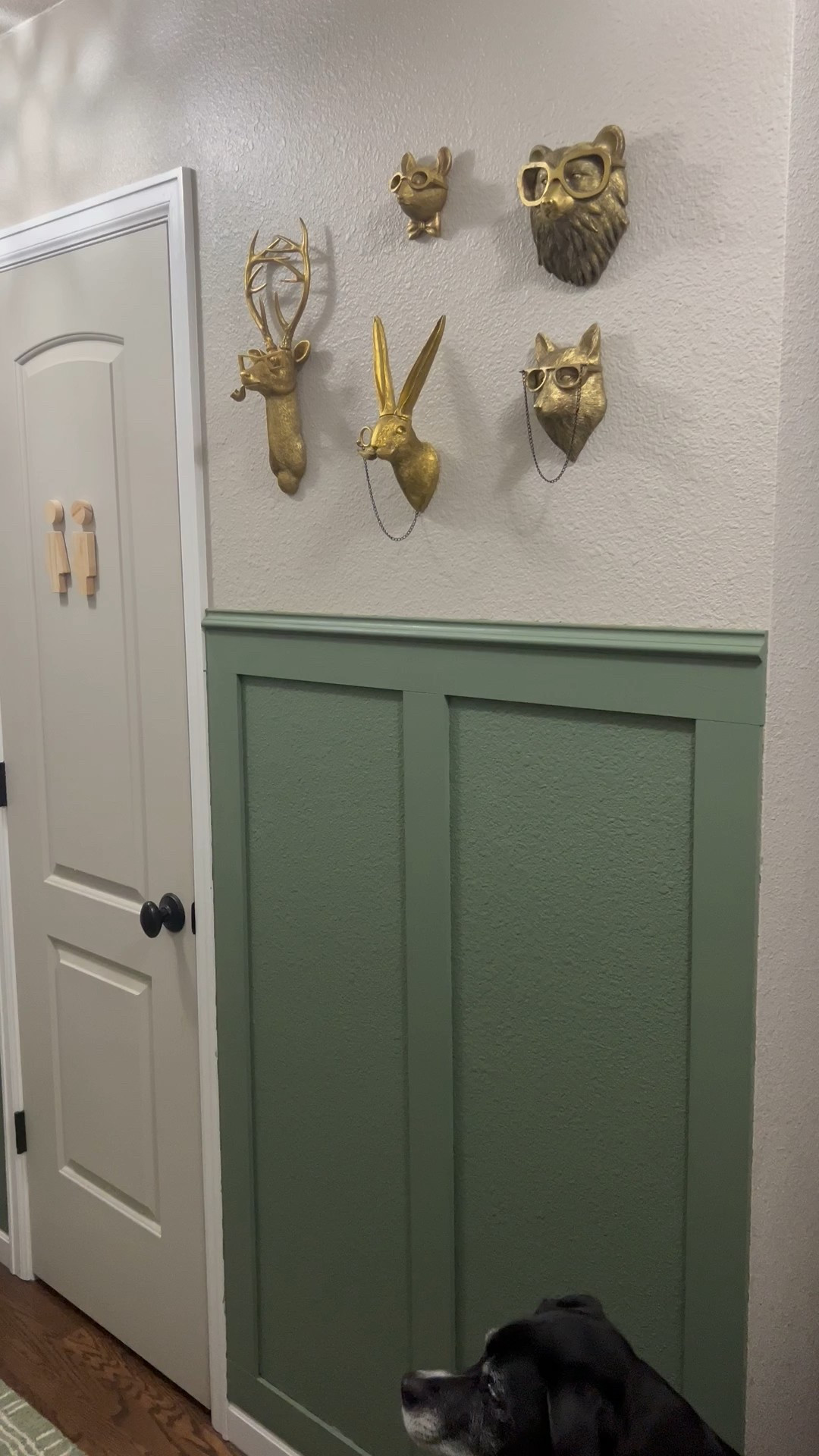 Found a spot in the new house for the animal heads and I’m obsessed with these gold/brass anima heads, they’re so quirky 

#LTKdayinmylife #LTKHome