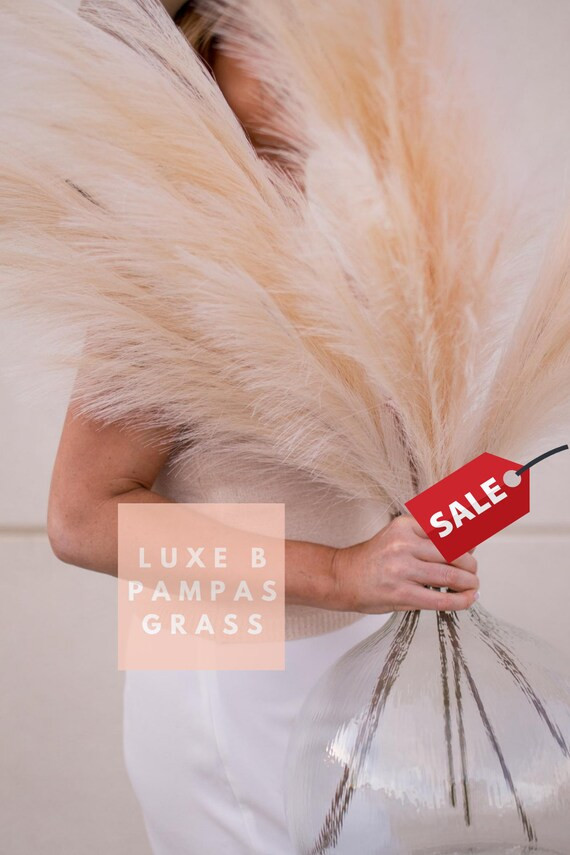 Pampas Grass "Faux", Artificial By Luxe B Pampas Grass - Cream | Etsy (US)