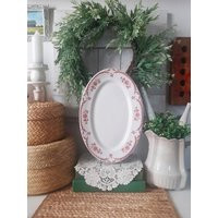 Vintage Red Transferware Chardon Rose Rim Rol Shenango China Restaurantware Platter | Etsy (US)