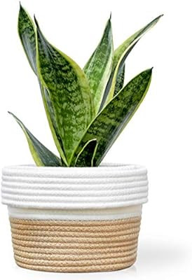Cotton Rope Plant Basket Cover for 6 Inch Indoor Plant and Flower Pots (Brown and White) | Amazon (US)