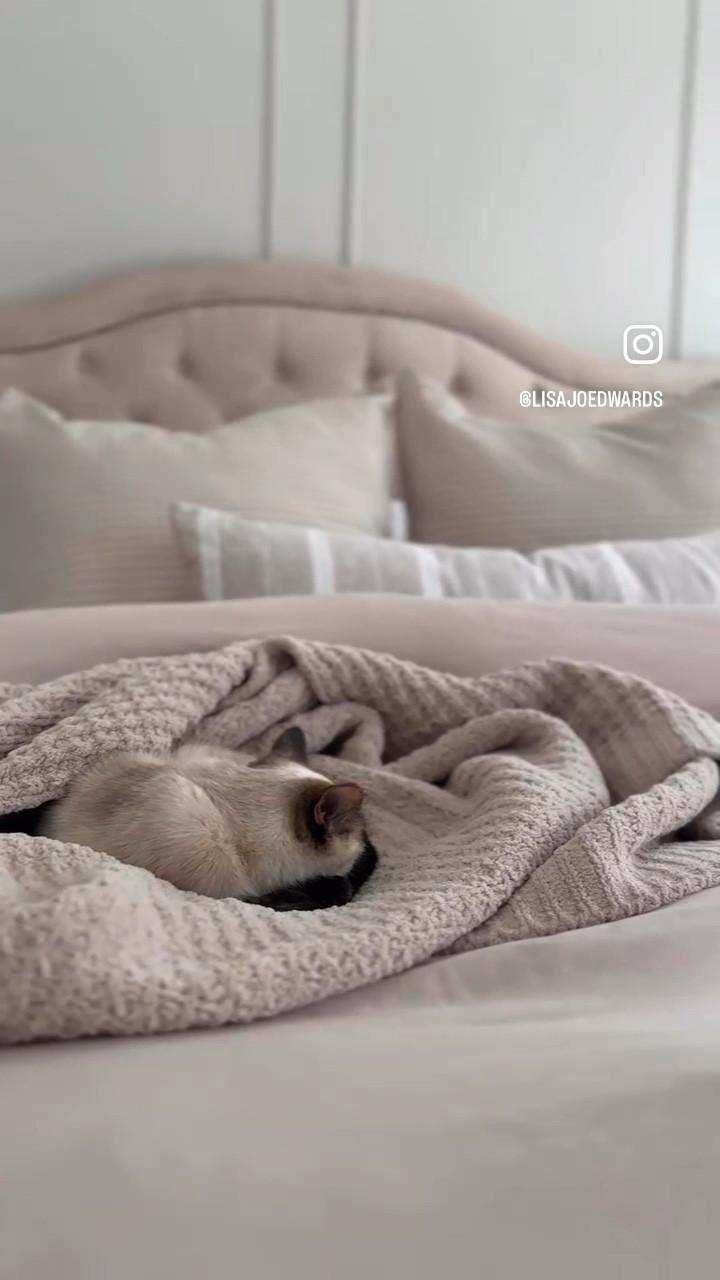 A sleepy, slow, snowy Kentucky day ❄️ 

#LTKSeasonal #LTKdayinmylife #LTKHome