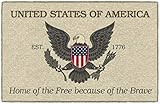 Brumlow Mills EST 1776 Patriotic Forth of July USA Eagel Print Home Indoor Area Rug for Living Room  | Amazon (US)