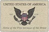 Brumlow Mills EST 1776 Patriotic Forth of July USA Eagel Print Home Indoor Area Rug for Living Room  | Amazon (US)