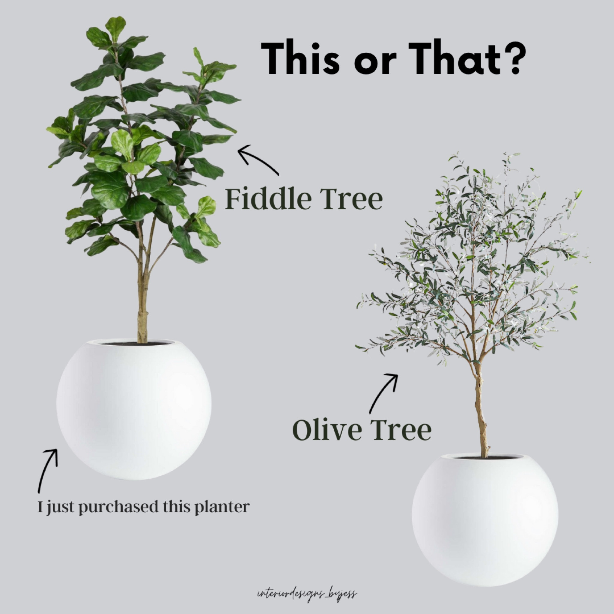 Currently loving a mixture of fiddle trees and olive trees in my home. So versatile and can be moved around multiple places in your home. I just purchased this crate and barrel larger sphere planter for my faux trees. I love the shape and statement it makes. 
#homedecor

#LTKFind #LTKhome #LTKstyletip