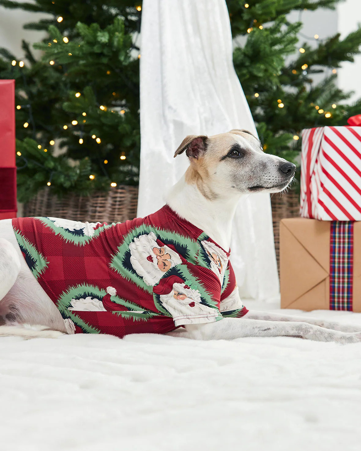 Pets Christmas Jolly Santa Print Pyjama T-Shirt | Chelsea Peers NYC