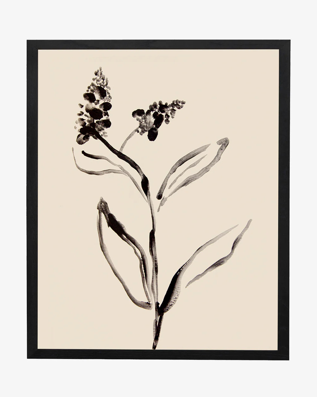 Grape Hyacinth | McGee & Co.