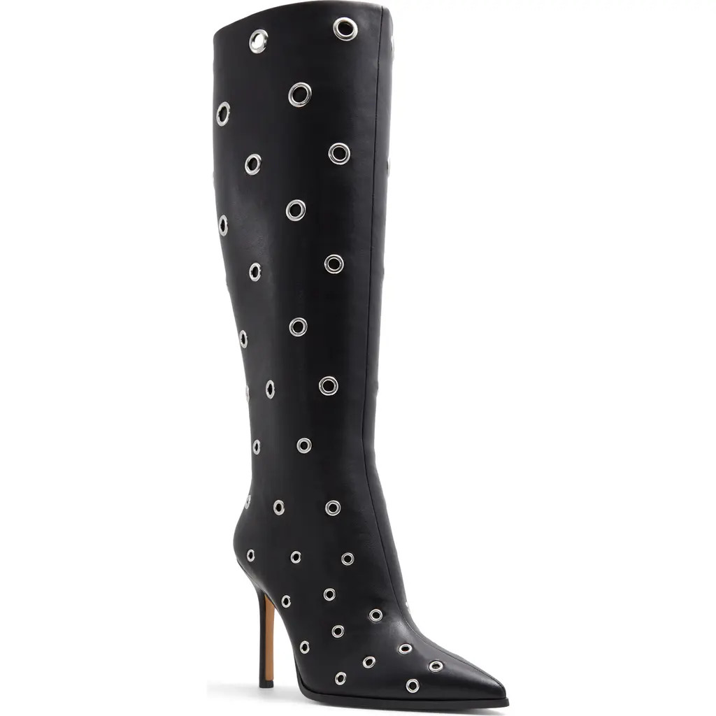 ALDO Maybellie Pointed Toe Knee High Boot in Other Black at Nordstrom, Size 7.5 | Nordstrom