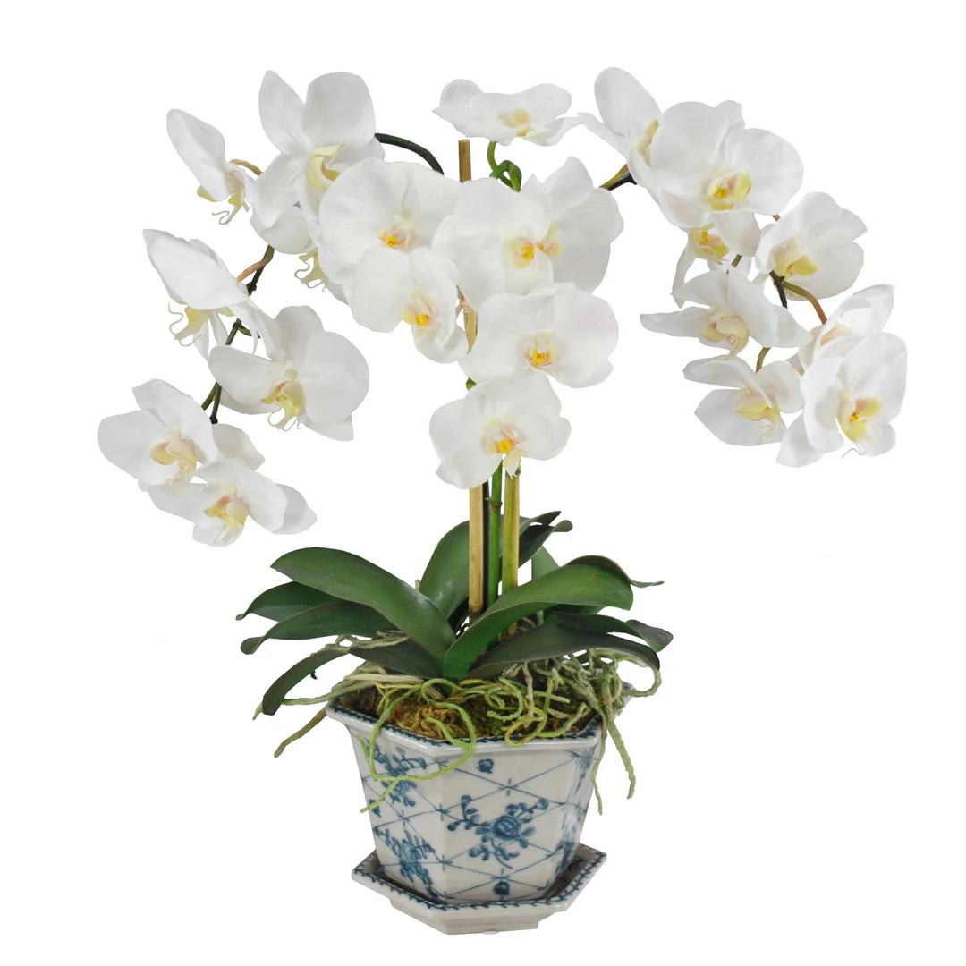 White Orchid in Blue and White Cachepot - Etsy | Etsy (US)