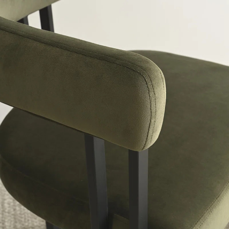 Dulcine Velvet Upholstered Armchair (Set of 2) | Wayfair North America
