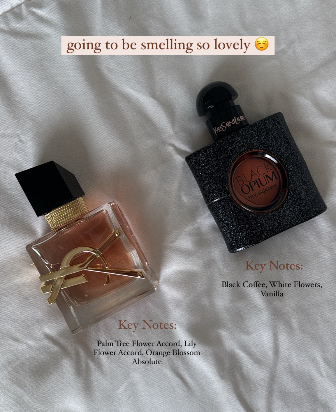 YSL Perfume ✨



#LTKStyleTip #LTKBacktoSchool #LTKBeauty