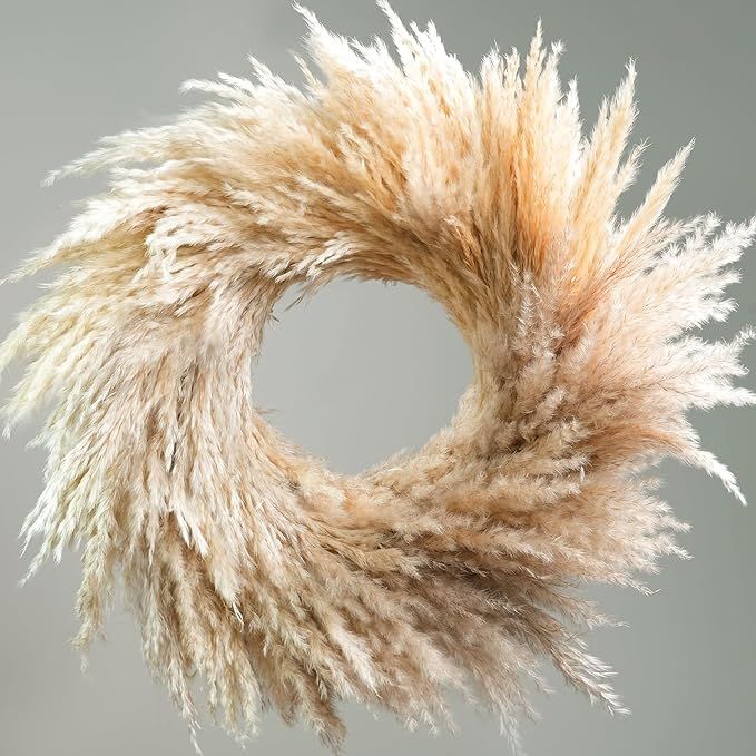 Natural Pampas Grass Wreath, 14'' Real Pampas Wreath for Front Door, Boho Wall Decor, Farmhouse S... | Amazon (US)