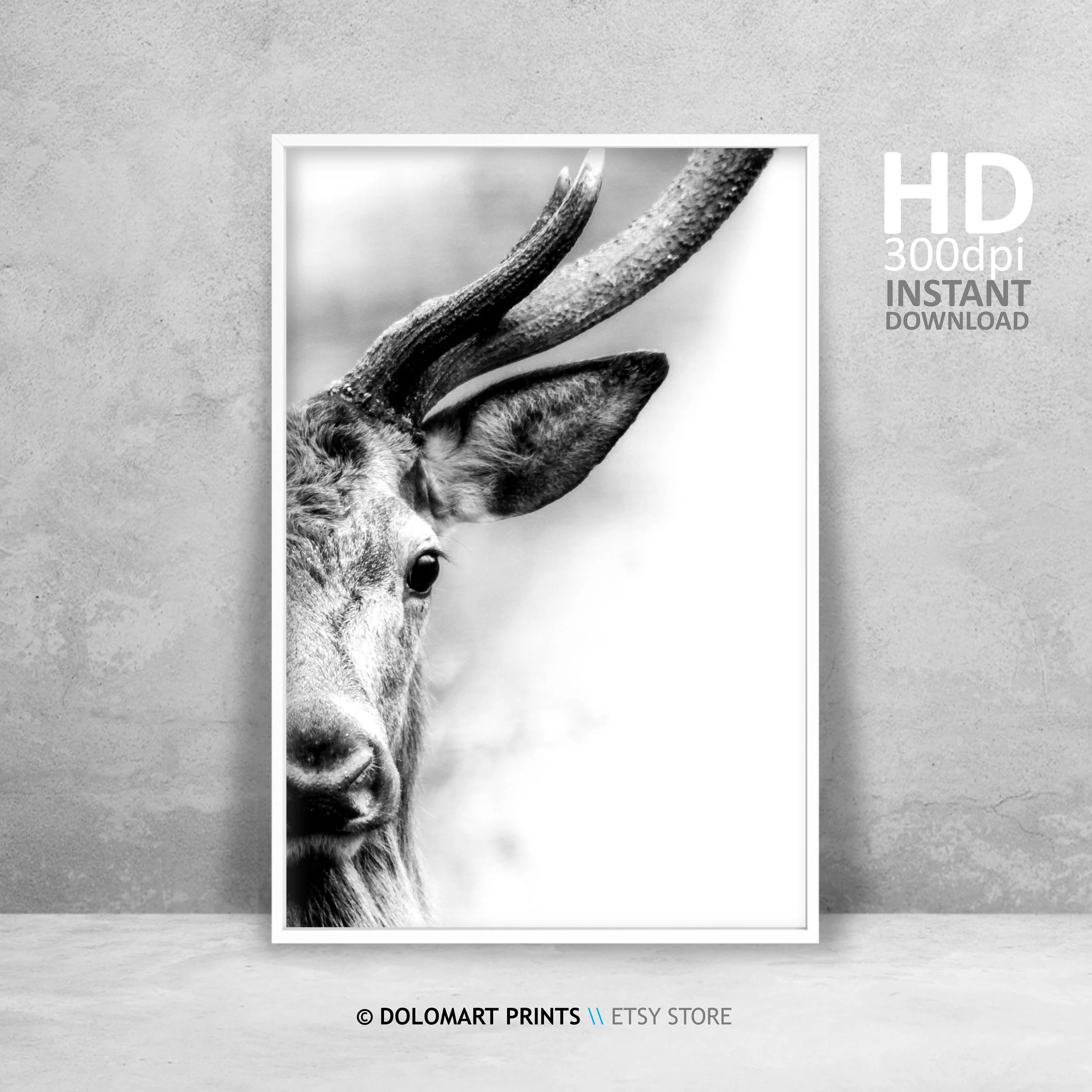 Deer Portrait Print, Black and White Animal Photography (Digital Download) | Etsy (Global)