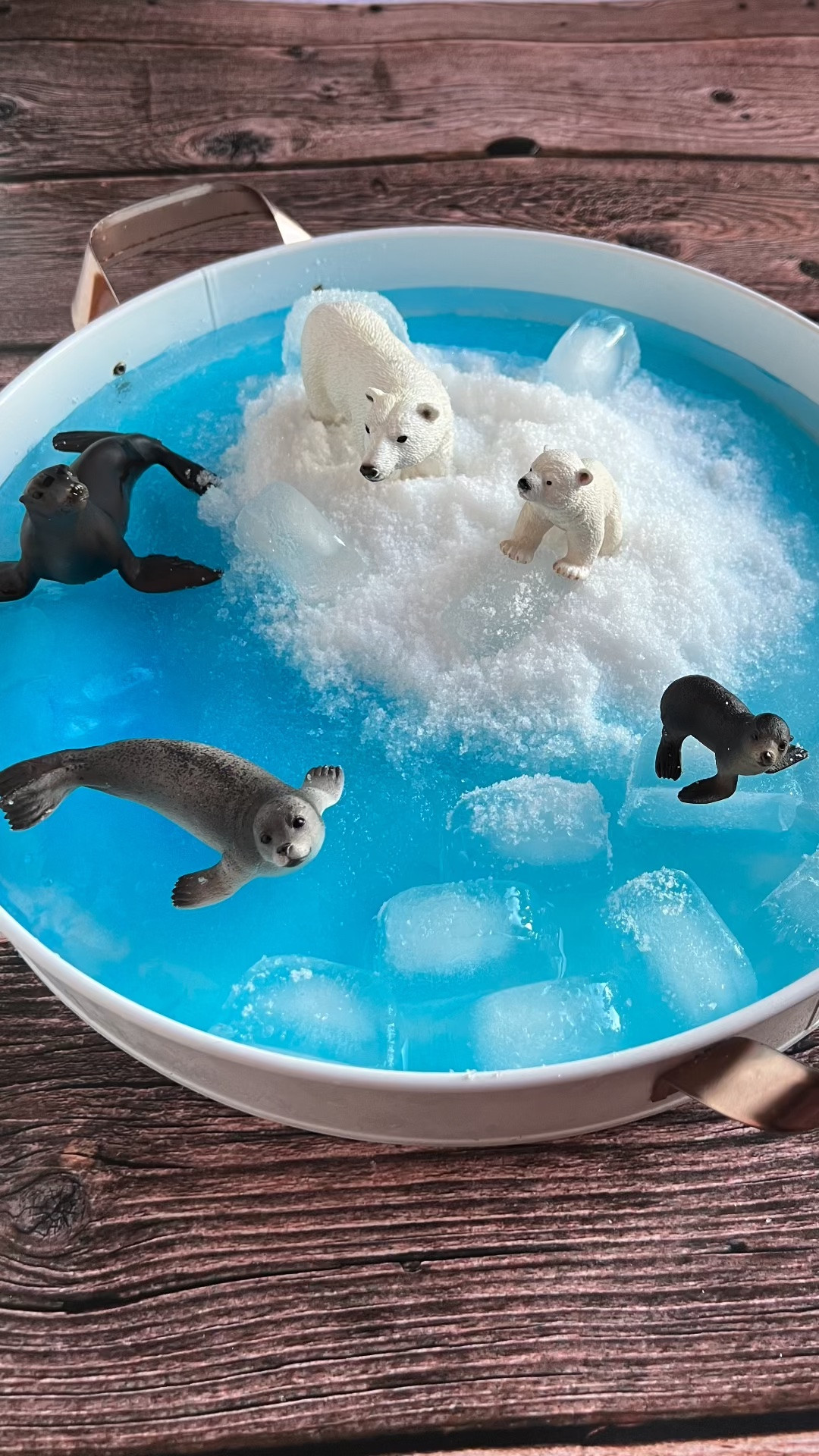 Bring the North Pole straight to your living room with this frozen Arctic sensory bin!

#LTKkids #LTKfamily #LTKhome