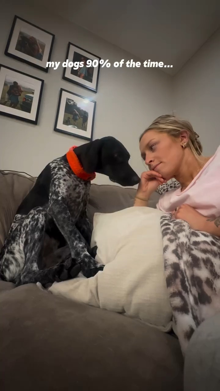 Their energy comes with the most loyal hearts 🥹🩷 GSP owners know what I mean!!

#gsp #gsplove #gsplife #gspcommunity #gspdaily