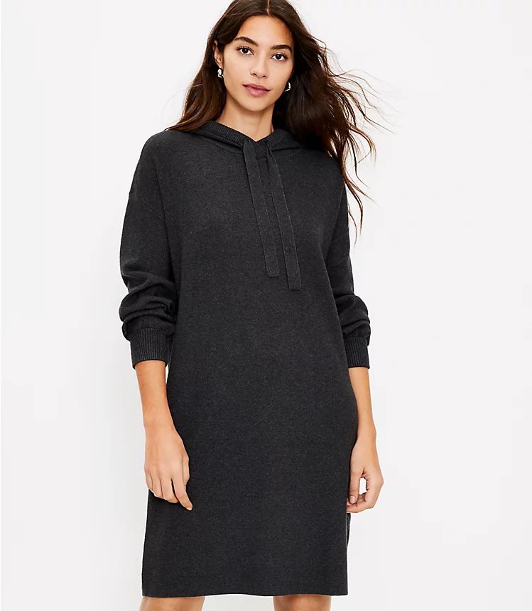 Hoodie Sweater Dress | LOFT | LOFT