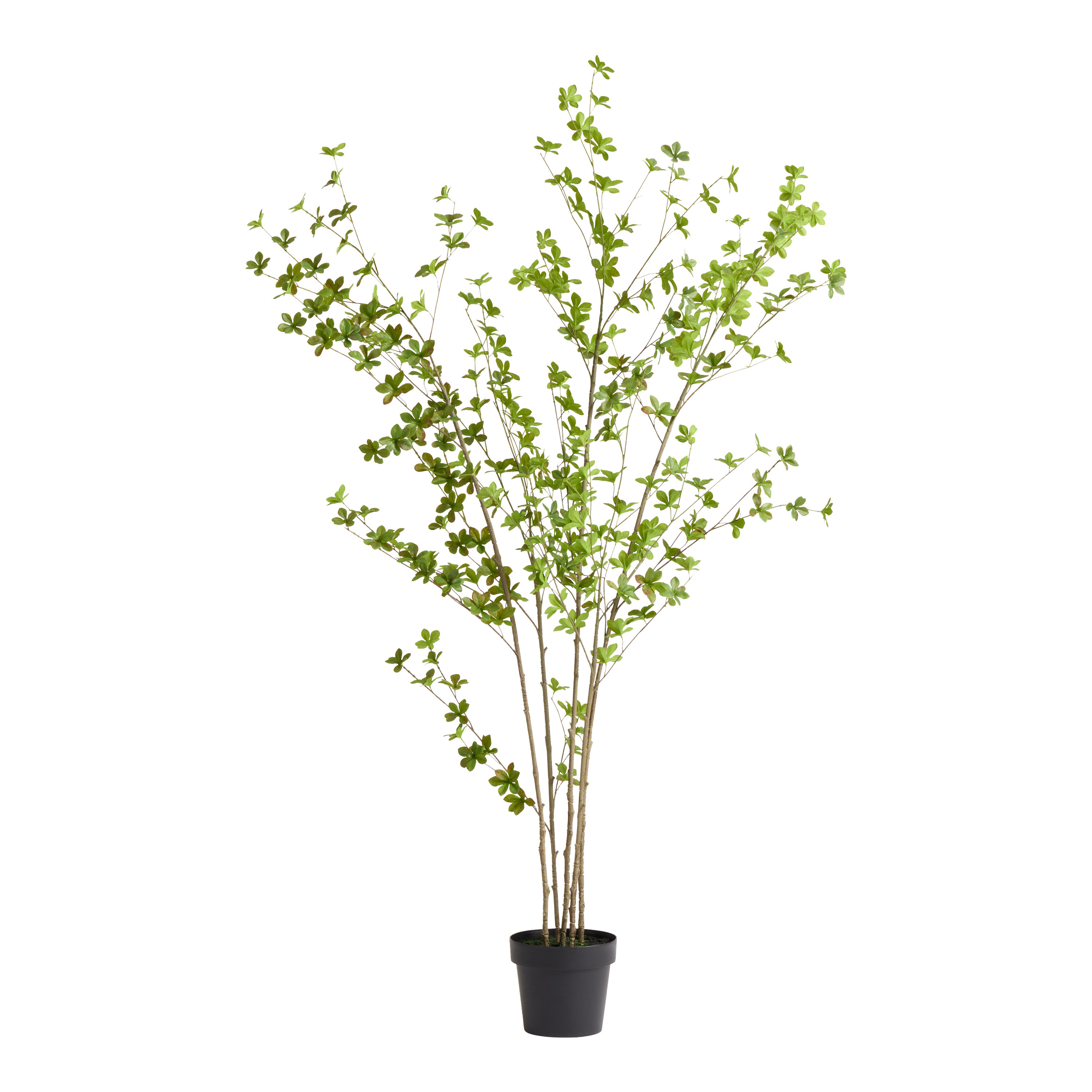 Faux Japanese Zen Leaf Tree - World Market | World Market