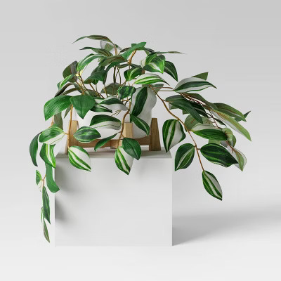Trailing Plant in Wood Planter - Threshold™ | Target