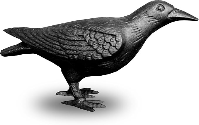NACH Crow Decor, 4.5 x 11 x 3.5 inch, Cast Iron Black Raven Statue, Raven Decor for Outside - Hea... | Amazon (US)