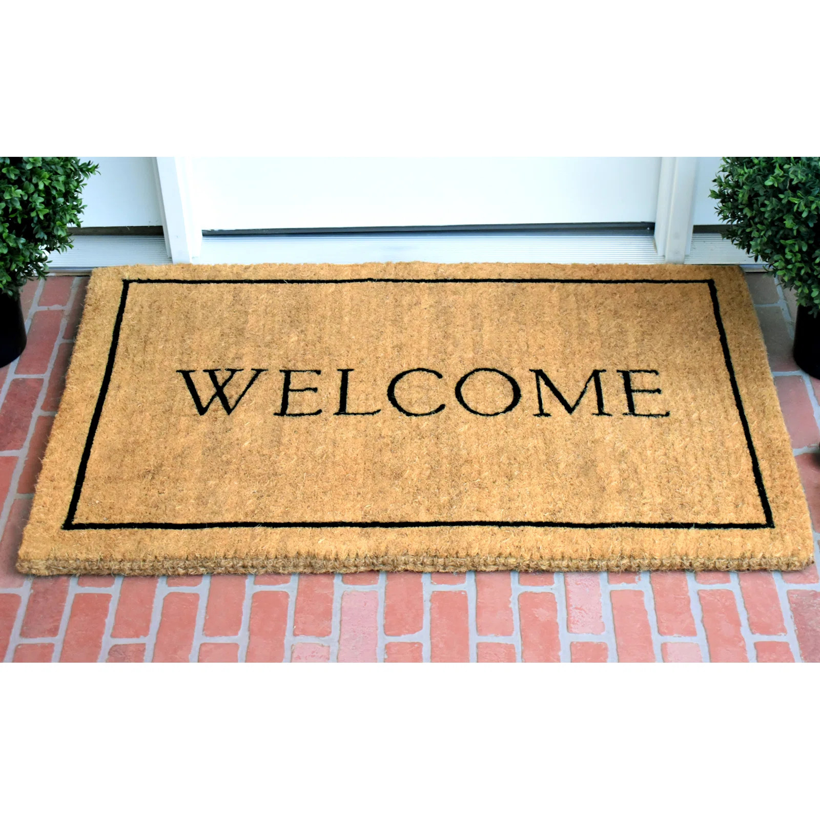 Peyton Indoor Doormat | Wayfair North America