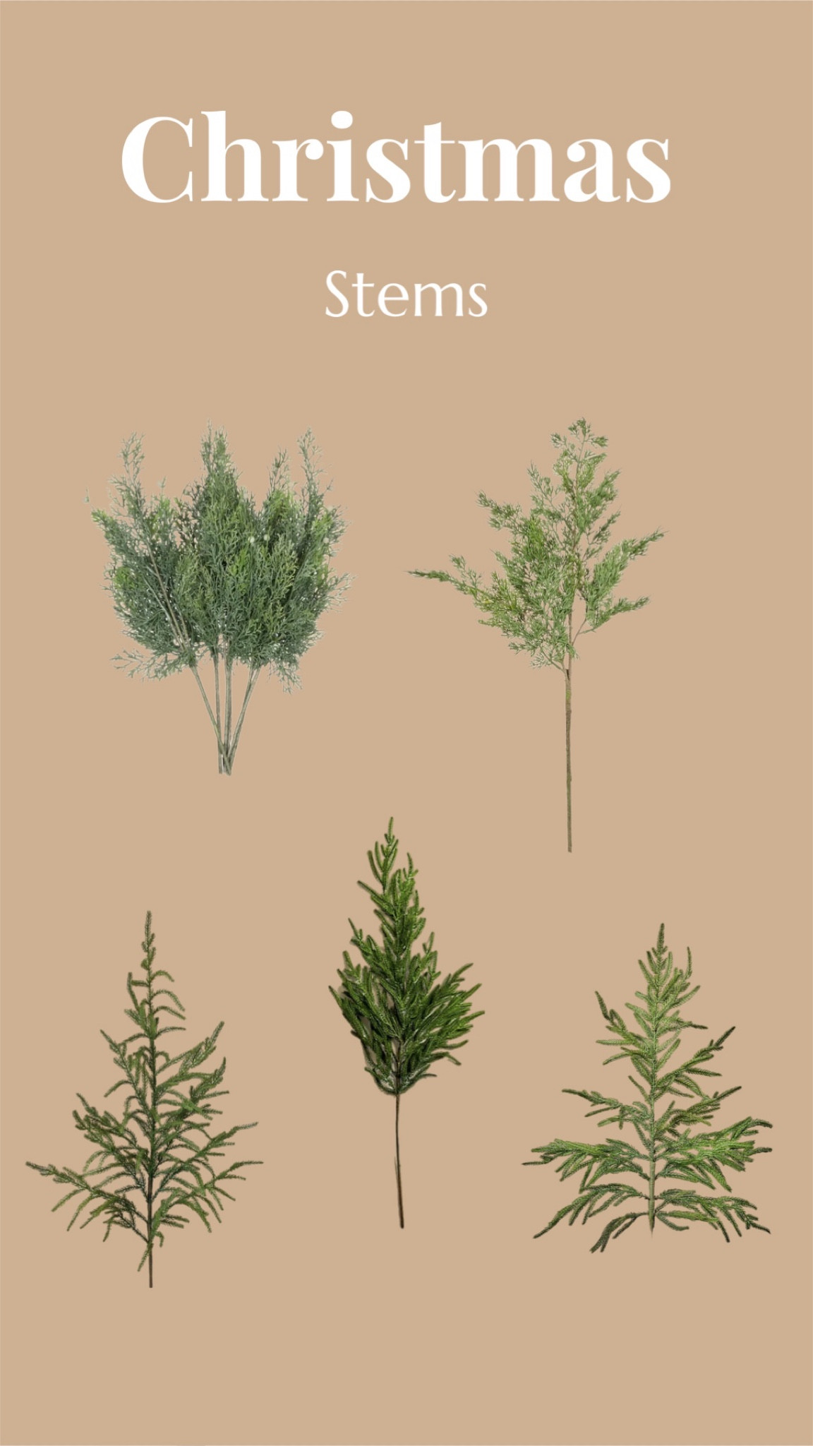 Christmas stems 

#LTKSeasonal #LTKhome #LTKHoliday
