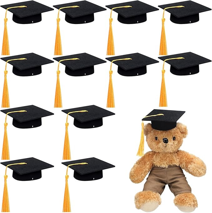Foilswirl 12 Pcs Mini Graduation Cap with Tassel Mini Plush Mason Jar Small Animal Bachelor Hat P... | Amazon (US)