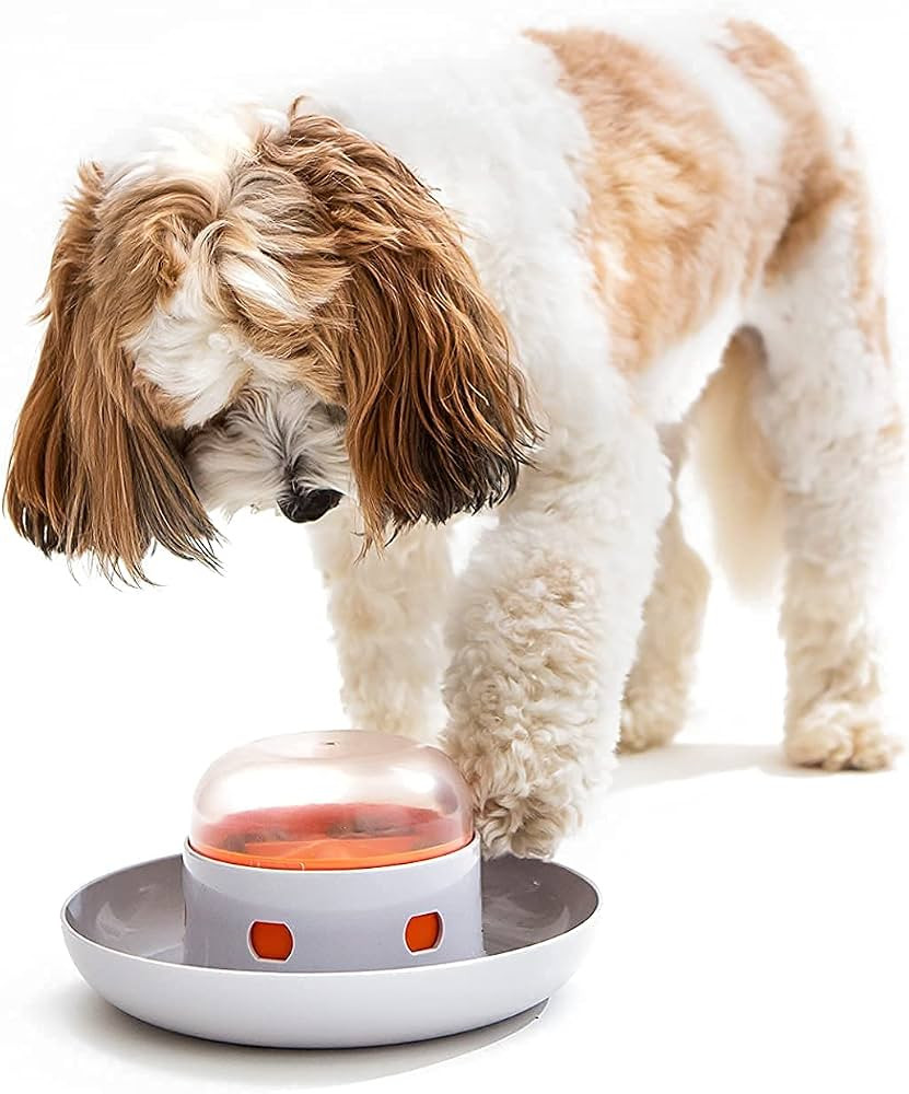 The UFO Interactive Push Button Food Treat Dispenser Bowl for Dogs and Puppy for Fun Slow Feeding... | Amazon (US)