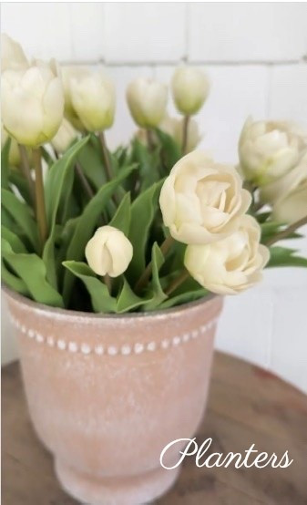 I am loving the new planters that I got from Walmart. They have an upscale look at a great price point.

#LTKHome #LTKSeasonal