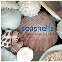 Seashells Coffee Table Book | Cailini Coastal