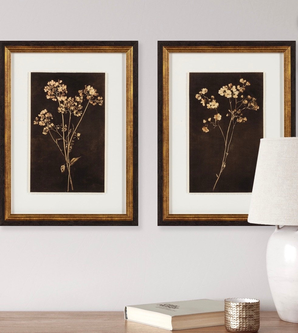 My Texas House Dark Floral Imprints Framed Art 18x24. White botanicals contrast dramatically against a dark background washed in sepia tone. Dimensions: 18x24x1.1. Light Texture Dark Walnut Frame with Antique Gold Inner Beading. Two D-Ring Hangers installed. Created by home decor blogger and influencer Erin Vogelpohl, My Texas House decor reflects Erin's signature modern farmhouse and fresh country style @walmart