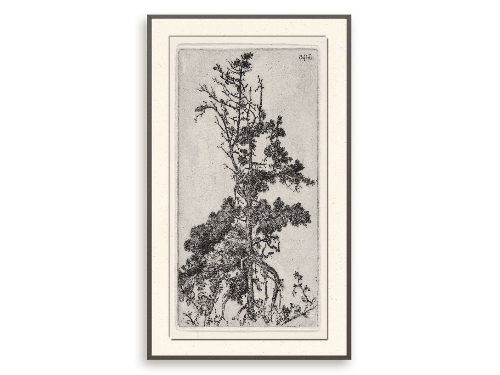 Vintage tree top print Antique botanical wall art Printable | Etsy | Etsy (US)