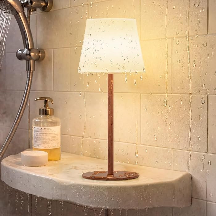 EZVALO Lámpara de ducha, lámpara de baño moderna impermeable IP65, luz de baño recargable ina... | Amazon (US)