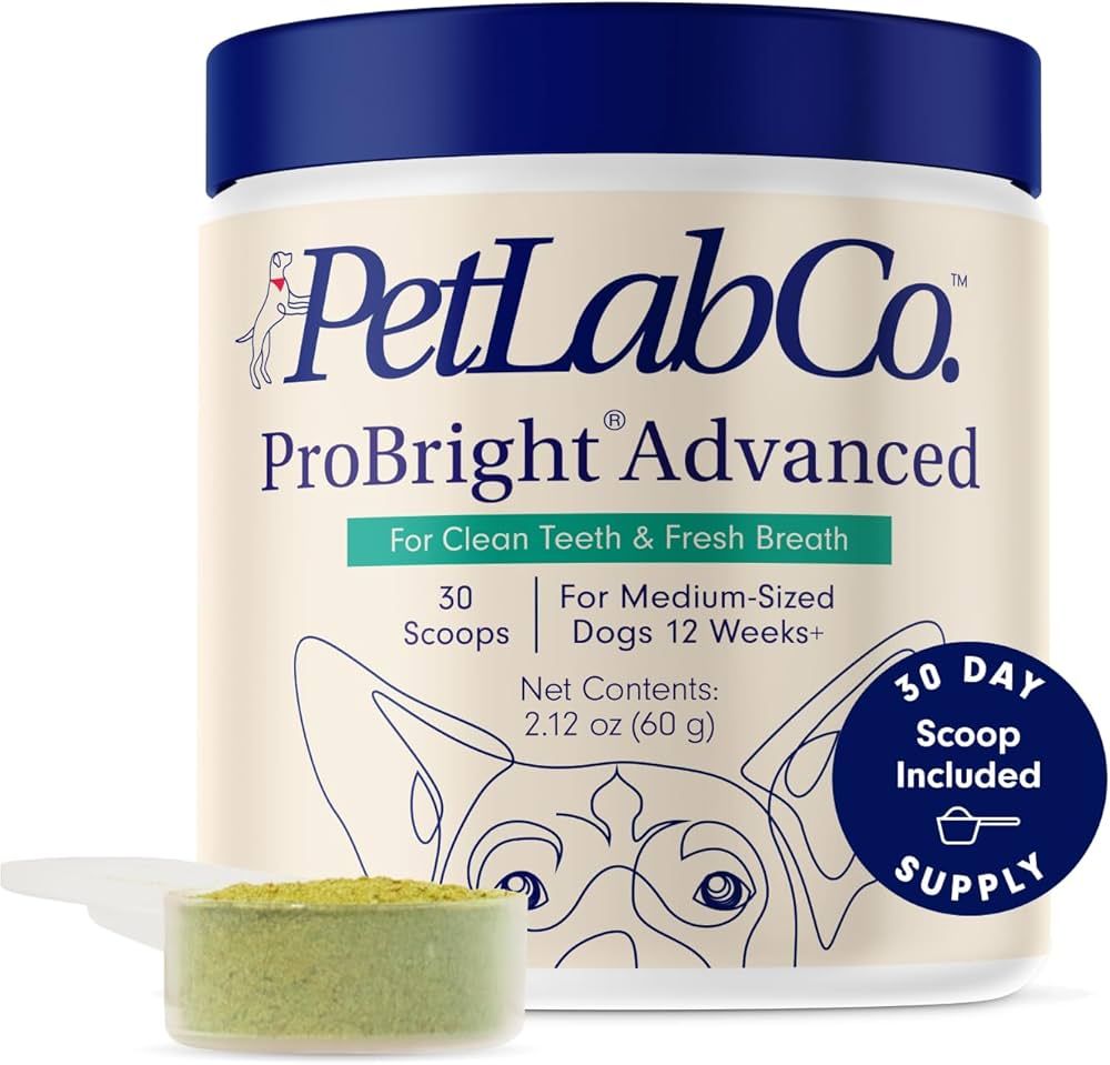 PetLab Co. ProBright Advanced Dental Powder - Dog Breath Freshener - Teeth Cleaning Made Easy –... | Amazon (US)