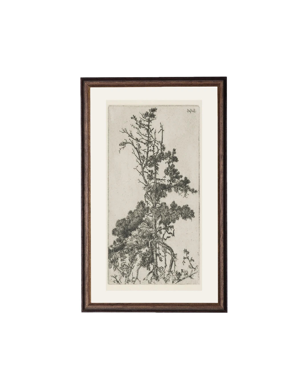 Trees Etching 4. Botanical Art Print. Vintage Tree Print. Tree - Etsy | Etsy (US)